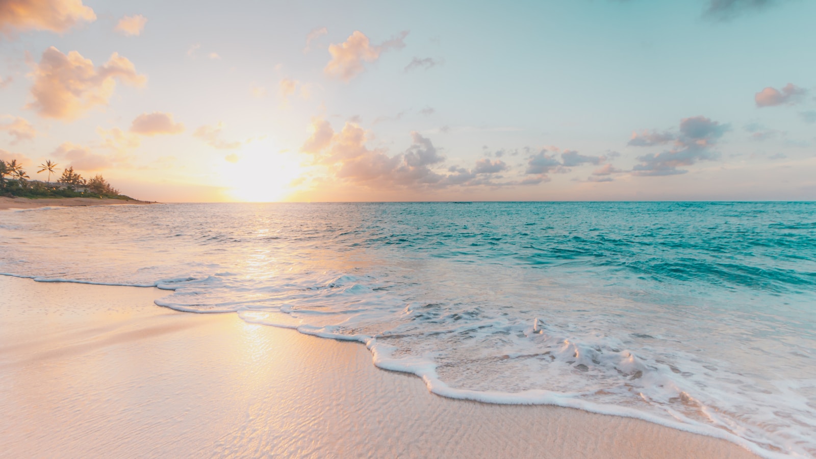 Best Family Beaches in Miami 2026: Where to Take Kids for a Perfect Beach Day