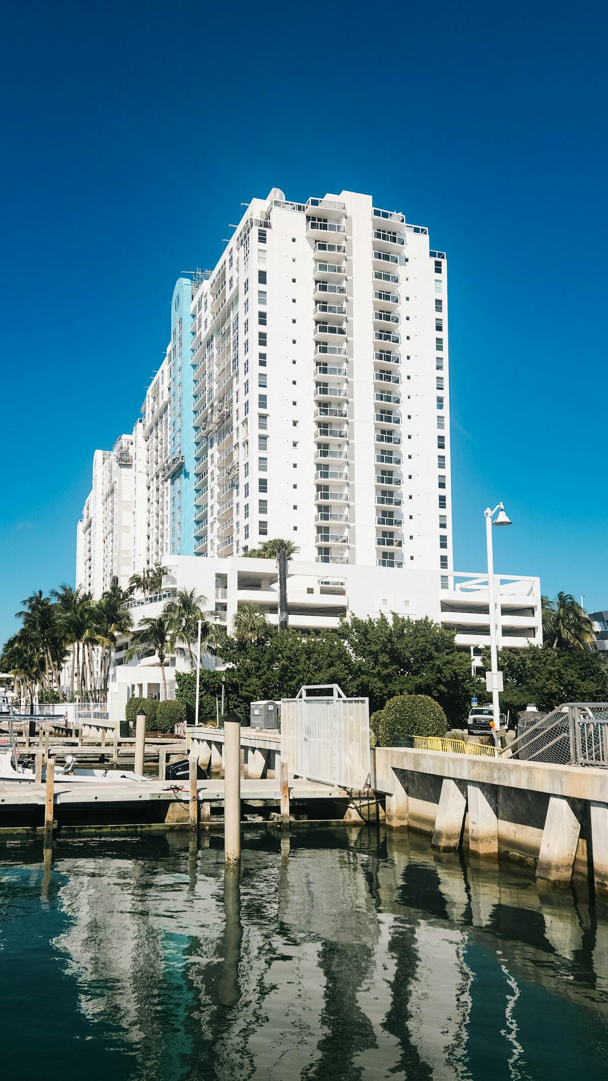 Sunny Miami Beach waterfront with blue sky and palm trees