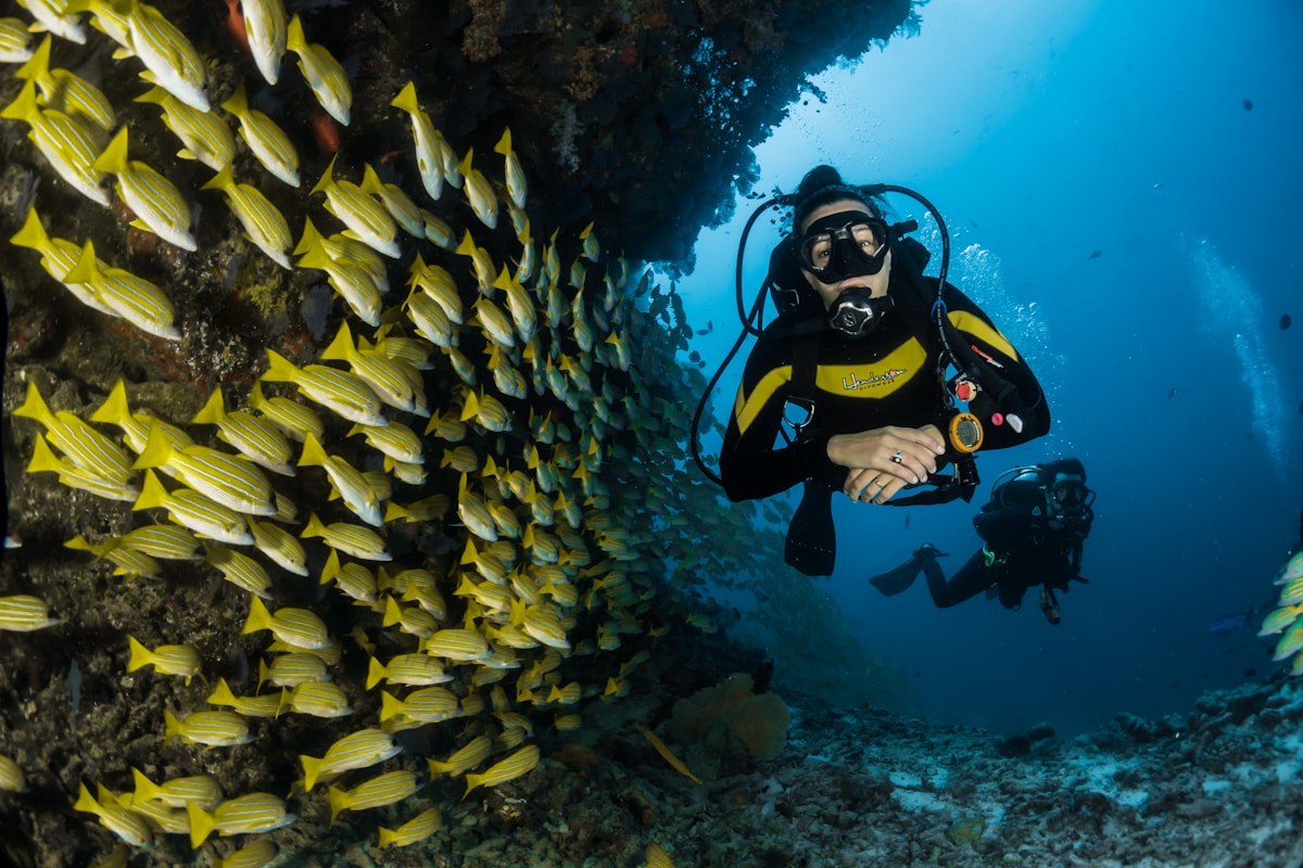 Best Snorkeling in Miami 2026: Where to Find Clear Water and Coral Reefs