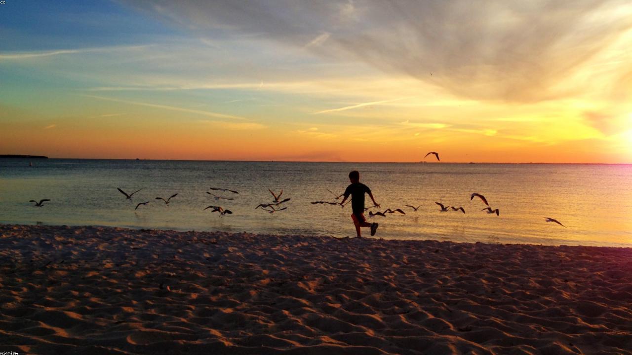 key biscayne beaches photo 2