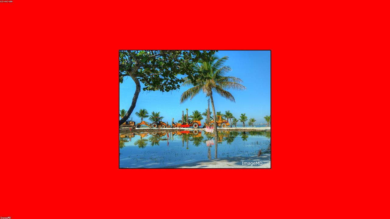 key biscayne beaches photo 4